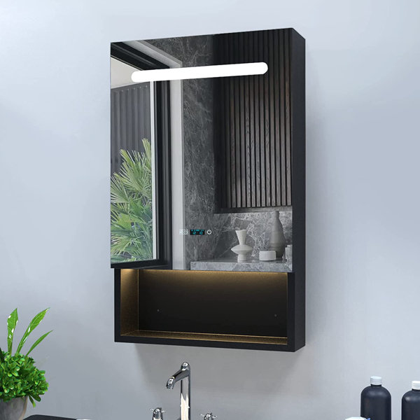 Ivy Bronx Chassitty 19.6'' W 31.5'' H Surface Frameless Medicine